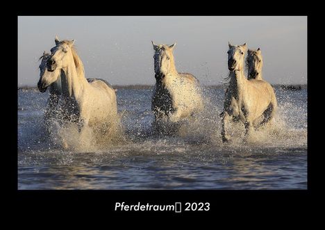 Tobias Becker: Pferdetraum 2023 Fotokalender DIN A3, Kalender