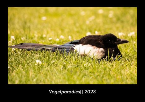 Tobias Becker: Vogelparadies 2023 Fotokalender DIN A3, Kalender