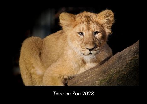 Tobias Becker: Tiere im Zoo 2023 Fotokalender DIN A3, Kalender