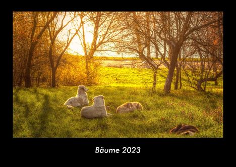 Tobias Becker: Bäume 2023 Fotokalender DIN A3, Kalender