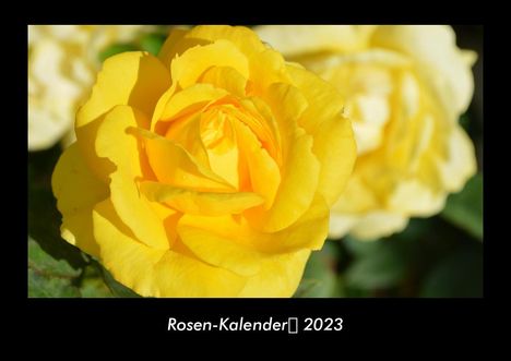 Tobias Becker: Rosen-Kalender 2023 Fotokalender DIN A3, Kalender