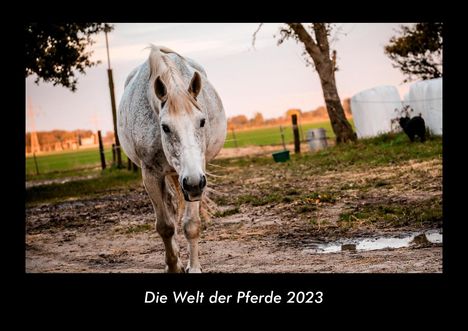 Tobias Becker: Die Welt der Pferde 2023 Fotokalender DIN A3, Kalender