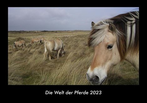 Tobias Becker: Die Welt der Pferde 2023 Fotokalender DIN A3, Kalender