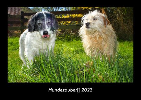 Tobias Becker: Hundezauber 2023 Fotokalender DIN A3, Kalender