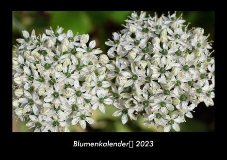 Tobias Becker: Blumenkalender 2023 Fotokalender DIN A3, Kalender