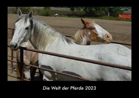 Tobias Becker: Die Welt der Pferde 2023 Fotokalender DIN A3, Kalender