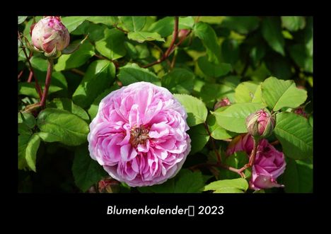 Tobias Becker: Blumenkalender 2023 Fotokalender DIN A3, Kalender