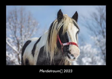 Tobias Becker: Pferdetraum 2023 Fotokalender DIN A3, Kalender