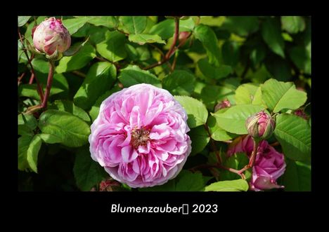 Tobias Becker: Blumenzauber 2023 Fotokalender DIN A3, Kalender