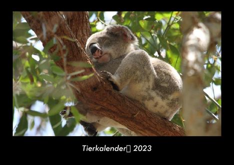 Tobias Becker: Tierkalender 2023 Fotokalender DIN A3, Kalender