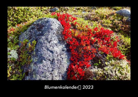 Tobias Becker: Blumenkalender 2023 Fotokalender DIN A3, Kalender