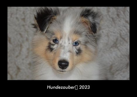 Tobias Becker: Hundezauber 2023 Fotokalender DIN A3, Kalender