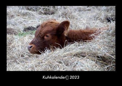 Tobias Becker: Kuhkalender 2023 Fotokalender DIN A3, Kalender