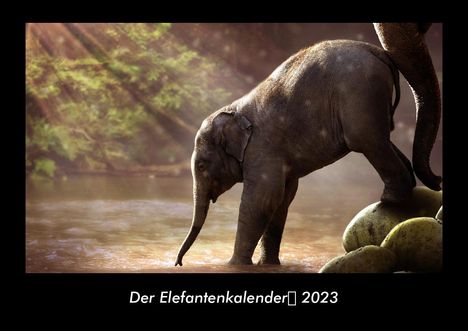 Tobias Becker: Der Elefantenkalender 2023 Fotokalender DIN A3, Kalender