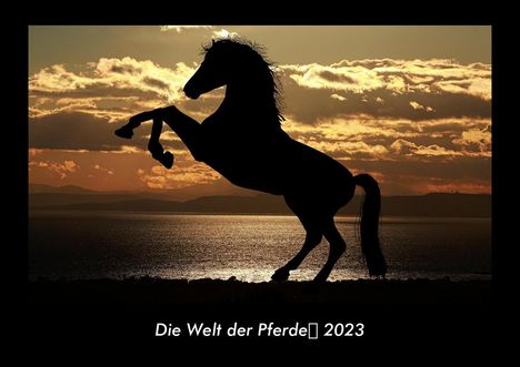 Tobias Becker: Die Welt der Pferde 2023 Fotokalender DIN A3, Kalender