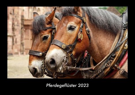 Tobias Becker: Pferdegeflüster 2023 Fotokalender DIN A3, Kalender