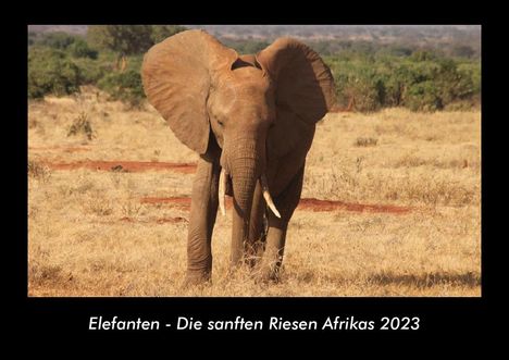 Tobias Becker: Elefanten - Die sanften Riesen Afrikas 2023 Fotokalender DIN A3, Kalender