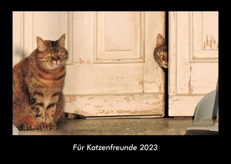 Tobias Becker: Für Katzenfreunde 2023 Fotokalender DIN A3, Kalender