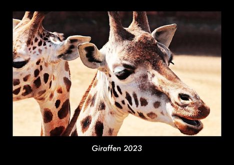 Tobias Becker: Giraffen 2023 Fotokalender DIN A3, Kalender
