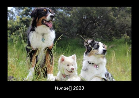 Tobias Becker: Hunde 2023 Fotokalender DIN A3, Kalender