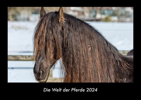 Tobias Becker: Die Welt der Pferde 2024 Fotokalender DIN A3, Kalender