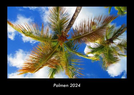 Tobias Becker: Palmen 2024 Fotokalender DIN A3, Kalender