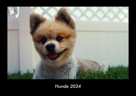 Tobias Becker: Hunde 2024 Fotokalender DIN A3, Kalender