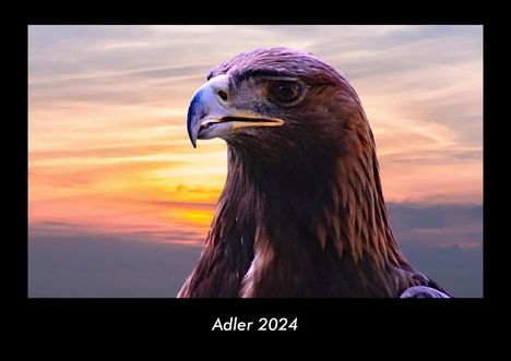 Tobias Becker: Adler 2024 Fotokalender DIN A3, Kalender