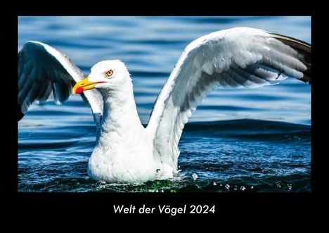 Tobias Becker: Welt der Vögel 2024 Fotokalender DIN A3, Kalender