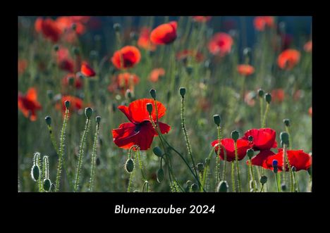 Tobias Becker: Blumenzauber 2024 Fotokalender DIN A3, Kalender