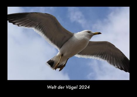 Tobias Becker: Welt der Vögel 2024 Fotokalender DIN A3, Kalender