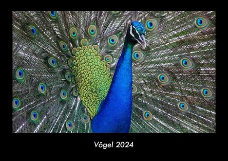 Tobias Becker: Vögel 2024 Fotokalender DIN A3, Kalender