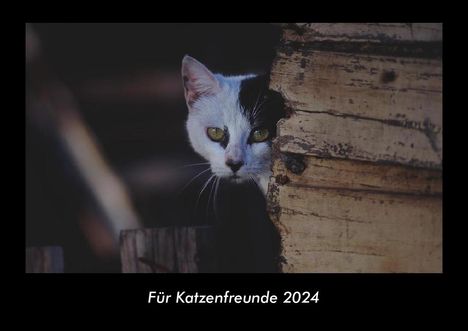 Tobias Becker: Für Katzenfreunde 2024 Fotokalender DIN A3, Kalender