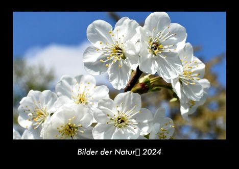 Tobias Becker: Bilder der Natur 2024 Fotokalender DIN A3, Kalender