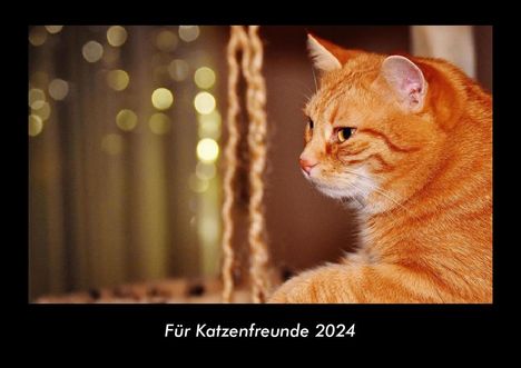 Tobias Becker: Für Katzenfreunde 2024 Fotokalender DIN A3, Kalender