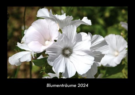 Tobias Becker: Blumenträume 2024 Fotokalender DIN A3, Kalender