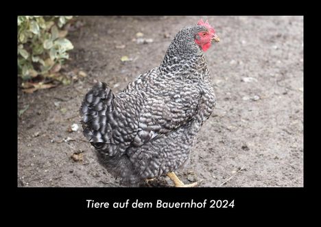 Tobias Becker: Tiere auf dem Bauernhof 2024 Fotokalender DIN A3, Kalender