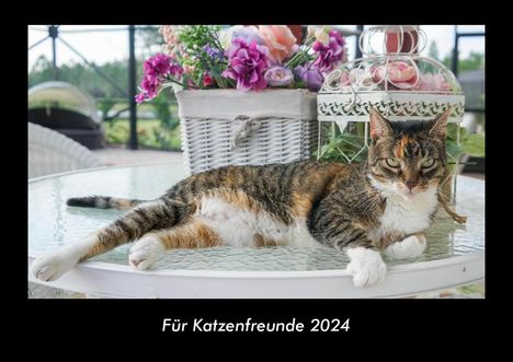 Tobias Becker: Für Katzenfreunde 2024 Fotokalender DIN A3, Kalender