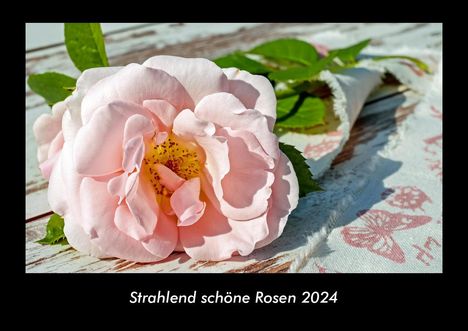 Tobias Becker: Strahlend schöne Rosen 2024 Fotokalender DIN A3, Kalender