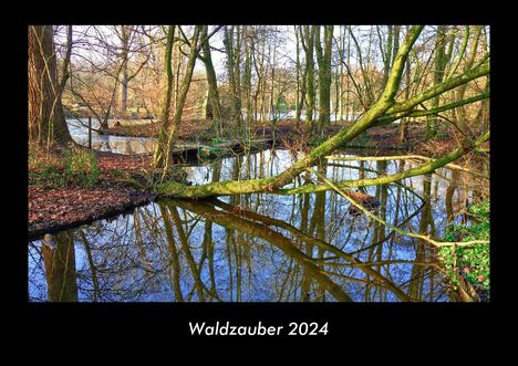 Tobias Becker: Waldzauber 2024 Fotokalender DIN A3, Kalender