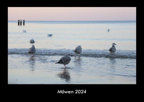 Tobias Becker: Möwen 2024 Fotokalender DIN A3, Kalender