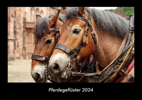 Tobias Becker: Pferdegeflüster 2024 Fotokalender DIN A3, Kalender