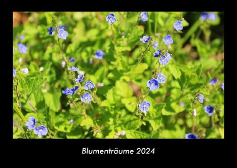 Tobias Becker: Blumenträume 2024 Fotokalender DIN A3, Kalender