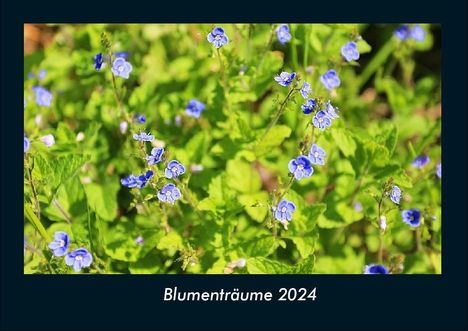 Tobias Becker: Blumenträume 2024 Fotokalender DIN A4, Kalender