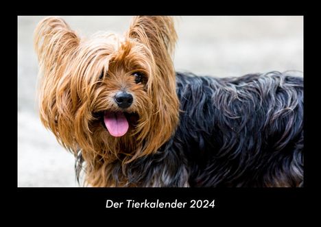 Tobias Becker: Der Tierkalender 2024 Fotokalender DIN A3, Kalender