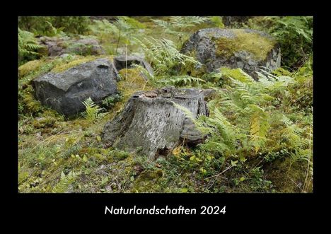 Tobias Becker: Naturlandschaften 2024 Fotokalender DIN A3, Kalender