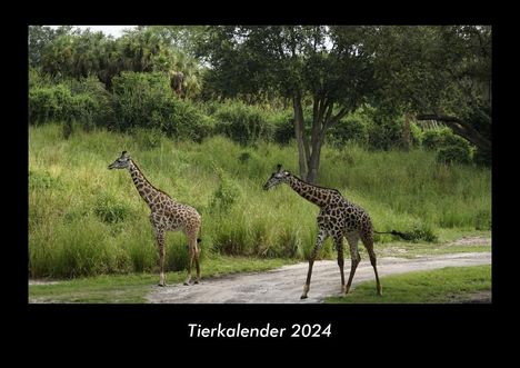 Tobias Becker: Tierkalender 2024 Fotokalender DIN A3, Kalender