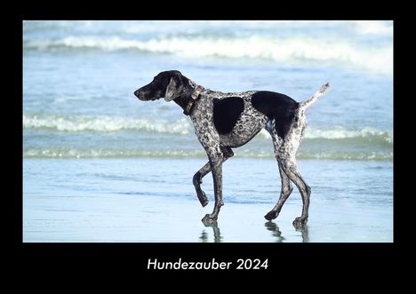 Tobias Becker: Hundezauber 2024 Fotokalender DIN A3, Kalender