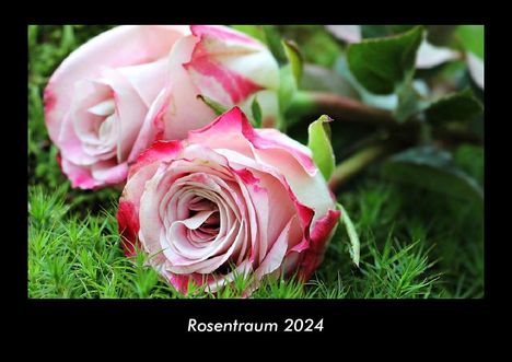 Tobias Becker: Rosentraum 2024 Fotokalender DIN A3, Kalender