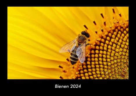 Tobias Becker: Bienen 2024 Fotokalender DIN A3, Kalender